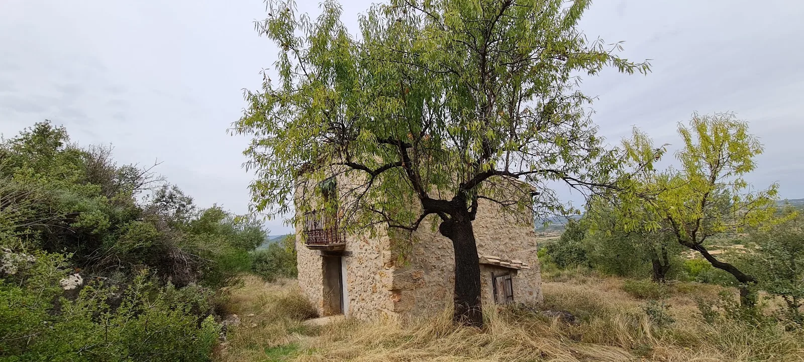 Ancienne caseta de pierre entourée d’arbres aux Terres d’Aragon
